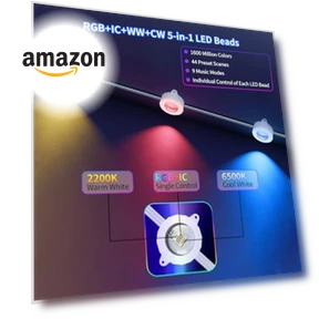 Permanent Outdoor Lights — Outdoor Security & Flood Lighting, URCAMS