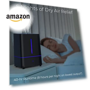 Cool Mist Humidifier — Air Moisturizers, Everlasting Comfort