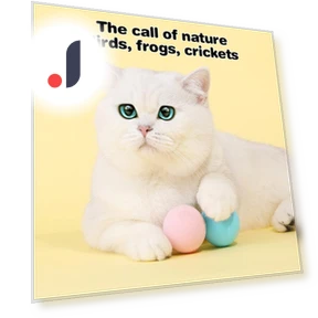 Interactive Plush Electric Ball with Catnip — Cat Playthings, Pansyf