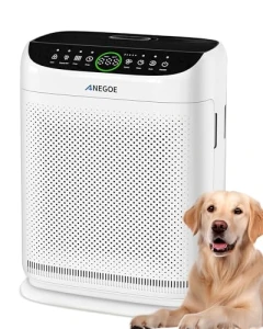 Large Room Air Purifier — Air Purifier, AnEgoe