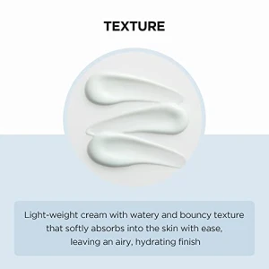 Madagascar Centella Hyalu-Cica Moisture Cream, SKIN1004