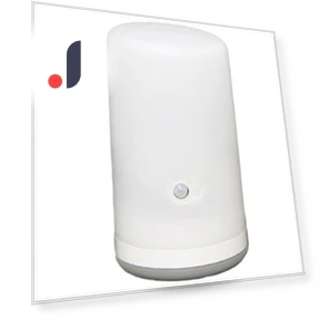 Sensor Light LED Battery Operated — Garden Illumination, IRIS OHYAMA