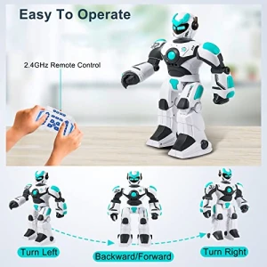 Remote Control Robot Toy — Robot Pet, HPROMOT