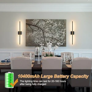 LED Wall Sconces Set of 2, ZEBALINE