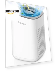 Small Air Purifier with Essential Oil Diffuser — Activated Carbon Air Purifiers, Priestley