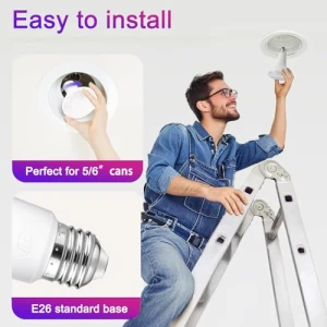 Color Changing LED Flood Light Bulbs — Smart Light Bulb, ILC