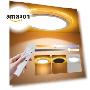 Flush Mount LED Ceiling Light with Nightlight — Overhead Lighting, Aphyni