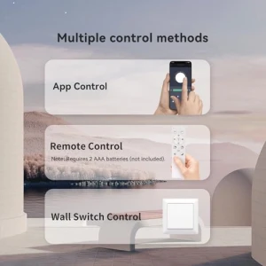 Flush Mount LED Ceiling Light with Nightlight, Aphyni