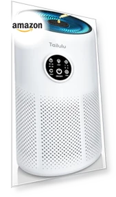 HEPA Air Purifier for Large Rooms — Activated Carbon Air Purifiers, Tailulu