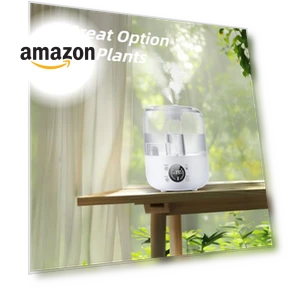 Cool Mist Ultrasonic Humidifier — Air Moisturizers, QWUE