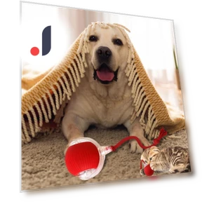 Automatic Smart Cat Toys — Cat Playthings, AE Selection