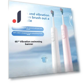 Electric Toothbrush — Electric Toothbrush Heads, Binchi Health Technology