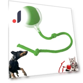 Fast Rolling Electric Ball for Pets — Interactive Animal Companions, Longlish