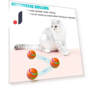 Interactive Smart Ball for Dogs — Balls, Yoga Da