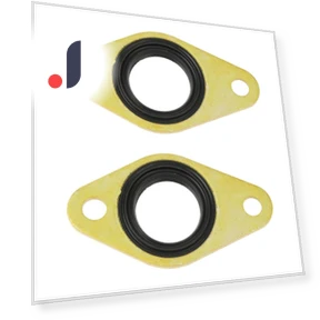 Eccentric Shaft Sensor Seals — , loverapple