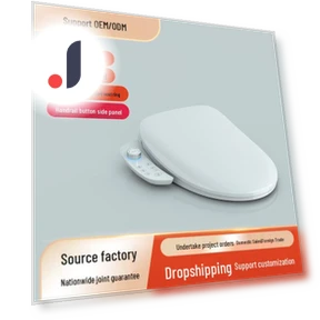 Automatic Heated Smart Toilet Seat — Bathroom Essentials, ElectroCN