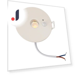 Ceiling Light PIR Motion Sensor LED Downlight — Overhead Lighting, CosyHome