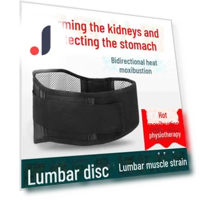 Self-heating Waist Support Belt with Steel Plate — Back Braces, AI Supermarket