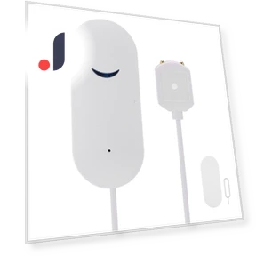 Smart Water Leak Detector — Water Leak Detection Systems, Neoglint