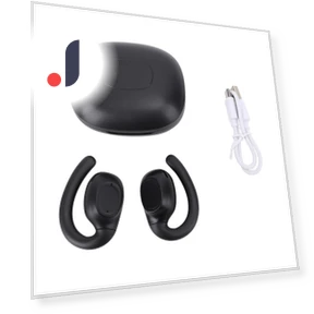 Language Translation Earbuds — Language Translators, DIYelecs