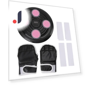 Music Boxing Trainer with LED Lights — Boxing Training Gear, DIYelecs
