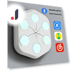 Smart Bluetooth Music Boxing Wall Target — Boxing Training Gear, FluxZone