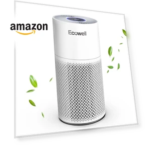 Large Room Air Purifier with Air Quality Sensor — Activated Carbon Air Purifiers, ECOWELL