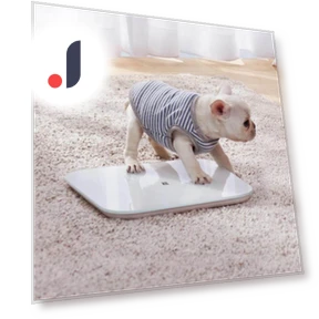 Smart Scale 2 — Weight Management Tools, Mijia