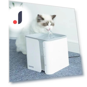 Automatic Cat Fountain — Pet Hydration Solutions, Five Colorful