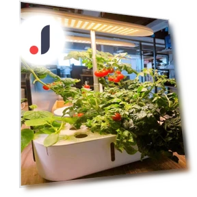 Smart Grow Light for Plants — Growing Lamps, Thunder And Fire