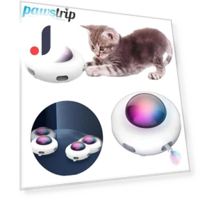 Smart UFO Cat Toy — Cat Playthings, Pawstrip