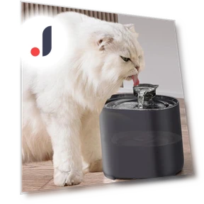 Automatic Cat Water Dispenser — Pet Hydration Solutions, Pawstrip