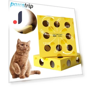 Interactive Cat Toy — Cat Playthings, Pawstrip