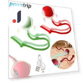 Interactive Electric Pet Toy — Cat Playthings, Pawstrip