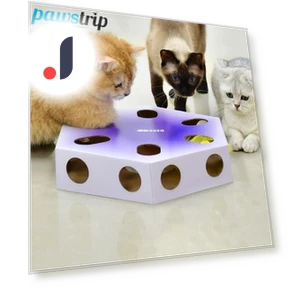 Interactive Magic Box Electric Cat Toy — Interactive Animal Companions, Pawstrip