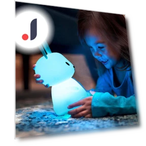LED Night Light — Lamps & Shades, Binchi Lighting Appliances