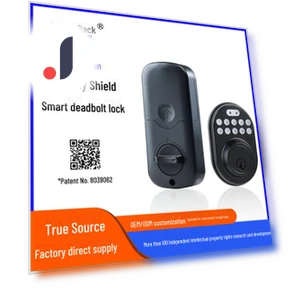 Smart Deadbolt Lock with Patented Password Protection — Padlocks & Hasps, Apex Gear