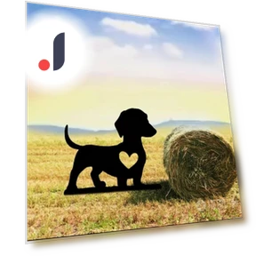 Smart Garden Peg for Dogs — Garden Stakes, CIFbuy