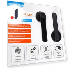 Smart Lock for Wooden Bedroom Door — Padlocks & Hasps, Apex Gear