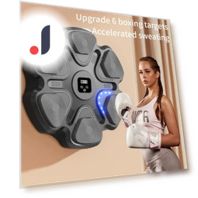 Smart Music Boxing Trainer — Boxing Training Gear, ZPG