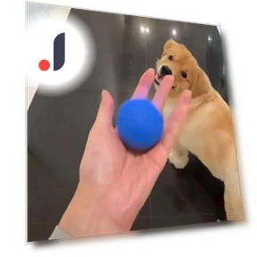 Smart Rolling Ball Toy for Pets — Interactive Animal Companions, Vinde Home