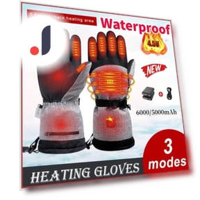 Winter Heated Gloves — Gloves, TEVISE