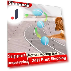 Active Rolling Ball — Balls, Vinde Home