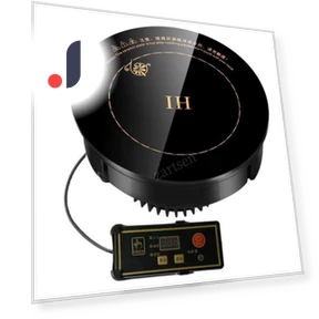 Mini Induction Cooktop — Portable Cooking Solutions, GYROBALL