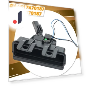 Rear Door Handle Switch with Gas Electric Drive — Switches, Forgetmenot