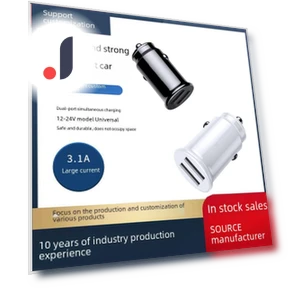 Smart Car Charger with Dual USB Ports — Vehicle Power Solutions, AI Supermarket