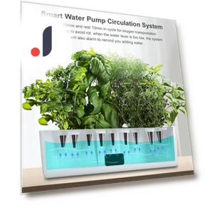 Hydroponic Growing System — Germination Kits, Build My Home