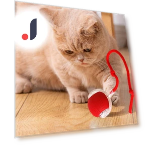 Interactive Pet Toy — Cat Playthings, Luminaire Lighting Mall