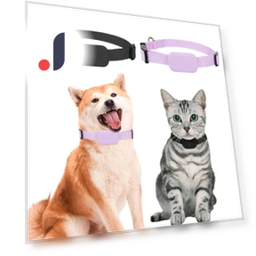 Mini GPS Tracker Collar for Puppies — Trackers, Cozy Cottage-Relax