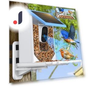 Smart Bird Feeder with Camera — Backyard Birding, Pet Supermarket